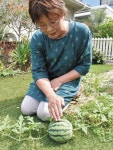 スイカ どこから来たの？　中島 大月さん人工芝庭に実る：北陸中日新聞Web
