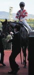 永島まなみ、JRA年間49勝目、阪神1Rでクロダブシを１着に導く「いい脚で伸びてくれた」：中日スポーツ・東京中日スポーツ 永島まなみ、... 