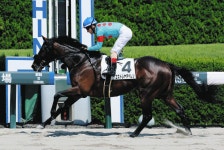 【阪神4R新馬】エストレヤデベレン、2着に7馬身差で圧勝：中日スポーツ・東京中日スポーツ 【阪神4R新馬】エストレヤデベレン、... 