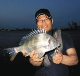 キビレ丸々３５センチ　愛知・飛島出船：中日スポーツ・東京中日スポーツ キビレ丸々３５センチ　愛知・飛島出船：中日スポーツ... 