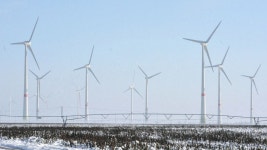 エネルギー自給自足実現の村・フェルトハイム　＜ドイツ廃炉地域の教訓＞：中日新聞Web