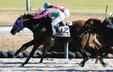 【中山6R新馬】7番人気のミツカネリブラ、... 中日スポーツ・東京中日スポーツ 【中山6R新馬】7番人気のミツカネリブラ、... 