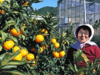 事件解決へ、できることを　蒲郡の女性殺害事件から10日で8年　：中日新聞Web