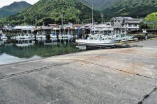 陸揚げ設備の不許可は「条例違反」　三重県が処分取り消し、尾鷲・三木里の港：中日新聞Web