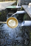 ＜ふくい水物語＞水分神社　福井版「モネの池」：中日新聞Web