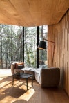 liminal studio designs undulating cabin pavilions along tasmanias coast liminal studio designs undulating cabin pavilions along... 