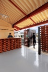 farm station gym by sugawaradaisuke architects sugawaradaisuke enlivens japanese town with biophilic, semi-outdoor gym