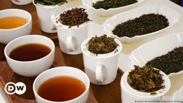 West warns of possible attack at Kabul airport amid airlift - Flipboard