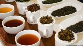 The worlds top tea drinkers are in Germany – DW – 08/26/2021