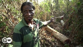 Brazils indigenous population fights back – DW – 10/20/2018