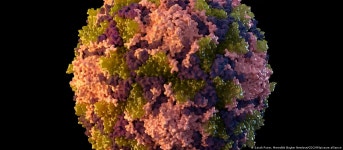 FAQ: Everything you need to know about polio – DW – 10/23/2023