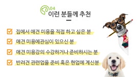 단과반 | 강좌신청 | 반려동물 훈련/미용 | 실용/취미 | 자격증 | 직업 EBS 자격증