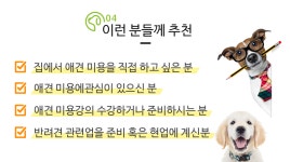 단과반 | 강좌신청 | 반려동물 훈련/미용 | 실용/취미 | 자격증 | 직업 EBS 자격증