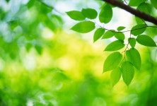 Does the color green boost exercises effects? | Fox News Does the color green boost exercises effects?