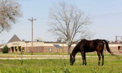 It would be best to speak English in classrooms | Fox News It would be best to speak English in classrooms