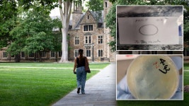 Three Chinese nationals charged in biological smuggling case: What we know | Fox News What we know about the Chinese nationals... 