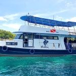 하나투어 : 꿈꾸는 대로, 펼쳐지다