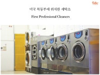 First Professional Cleaner