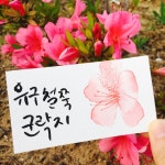 5월에 다녀온 하남-남해-순천여행