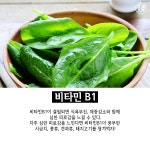 알고 먹자! 비타민 고르는 꿀팁