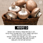 알고 먹자! 비타민 고르는 꿀팁