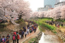 울산의 하루는 너무 짧아