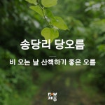 송당리 당오름