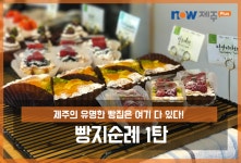 제주 빵지순례 1탄