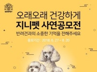 ‘홍삼, 강아지 건강에 효과’ 지니펫, 면역력 입증 이벤트
