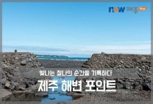 제주 해변 포인트