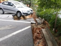 서울 금천구 아파트 바로 옆 대규모 땅꺼짐…200명 긴급대피(종합)