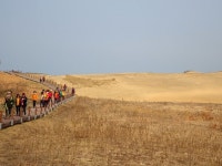 사막을 건너다 - 바라길, 신두리 사구