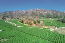 이로운 삶의 움직임을 따라 - 강진에서의 시간