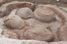 자동차 만한 공룡알?… 2만 년 전 포유류 껍질 화석 발견