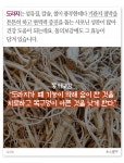 폐 건강에 좋은 토종약초 2종 보고 가세요