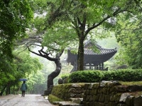 봄비 머금은 푸르름, 부슬부슬 옛이야기… 느릿느릿한 운치