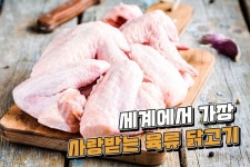 내가 먹는 닭은 몇 호? 크기별로 다른 조리 방법