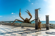 WALKING TOUR #울진 해파랑길