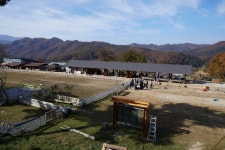 전직 외환딜러는 어떻게 춘천 관광명소의 목장주가 됐을까?