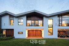 다양한 각도와 측면에서 소나무를 바라보며 대화하기