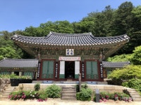 숲길 걷고 계곡물에 발 담그고...홍천 수타사 산소길