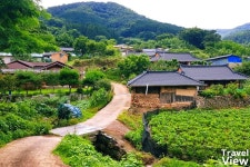 ‘정녕 국내입니까’ 숲 한복판에 열린다는 ‘하늘길’의 위치