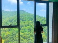 바다말고 산! 숲캉스 떠나기 좋은 호텔 3곳