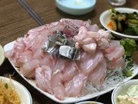 여름에 안 먹으면 후회하는 전국 민어 맛집 5곳