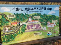 제주 에코랜드 할인 :: 신비의 숲으로 떠나는 기차여행