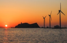 “저장 꾹” 선선해진 요즘 날씨에 딱이라는 숨겨진 ‘차크닉 장소’