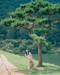 한옥마을 이제는 전주말고 완주로!