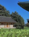 마음을 비우는 여행, 템플스테이 ⛩