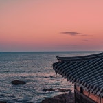 마음을 비우는 여행, 템플스테이 ⛩