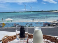 나는 퇴근 후, 제주도로 여행을 간다